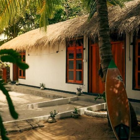 Surfing Lion Hostel آروغام المظهر الخارجي الصورة