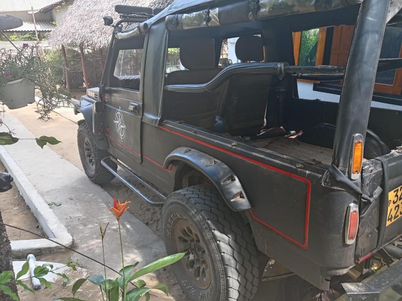 Surfing Lion Hostel آروغام المظهر الخارجي الصورة