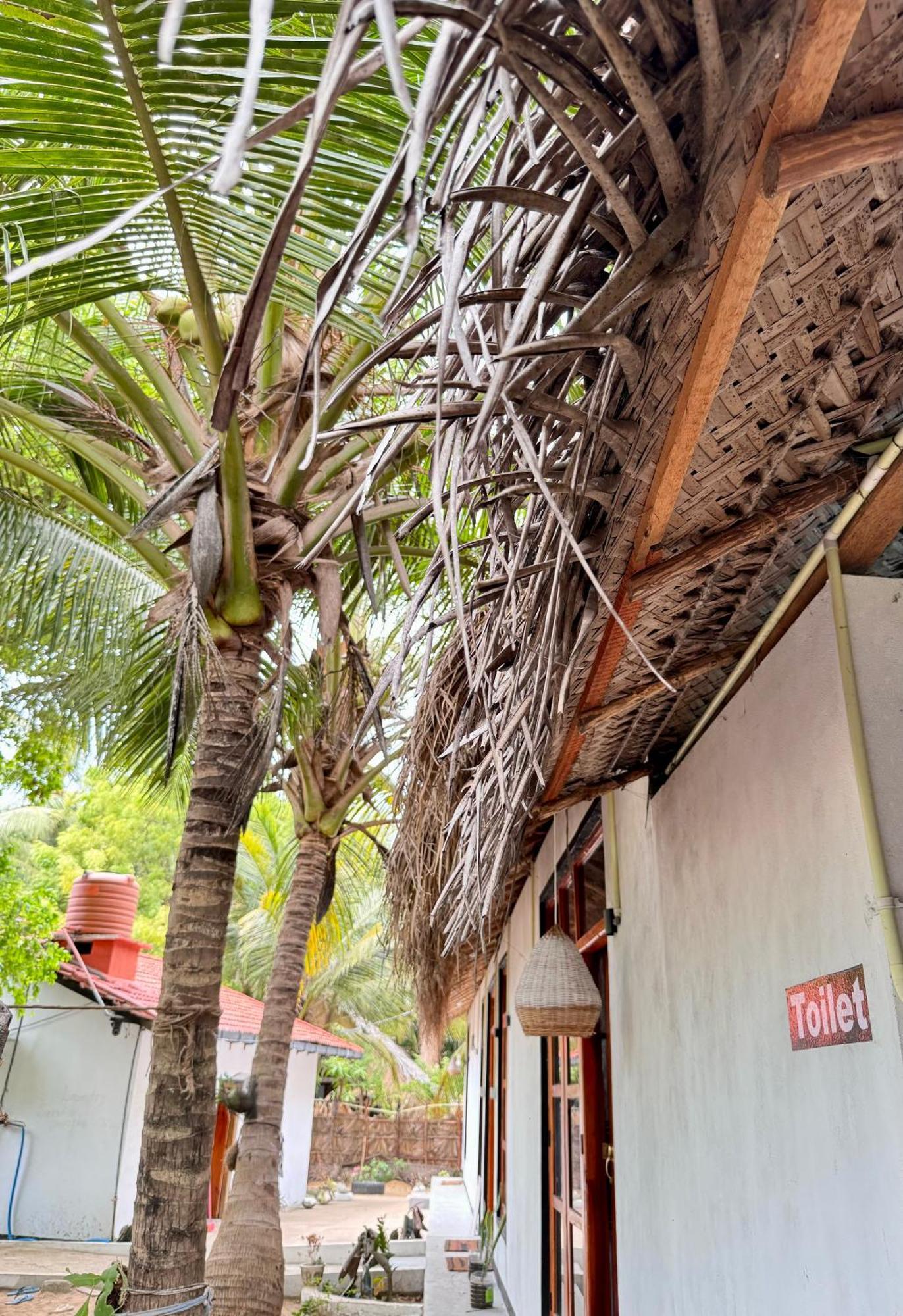 Surfing Lion Hostel آروغام المظهر الخارجي الصورة