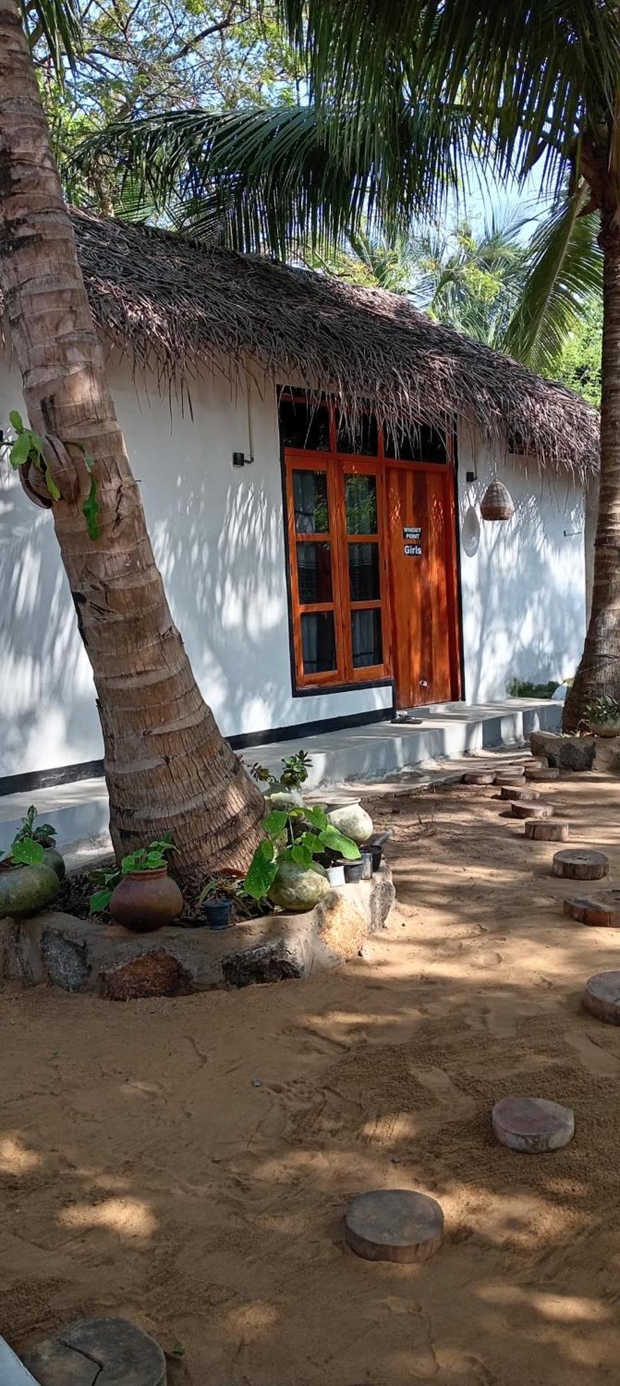 Surfing Lion Hostel آروغام المظهر الخارجي الصورة