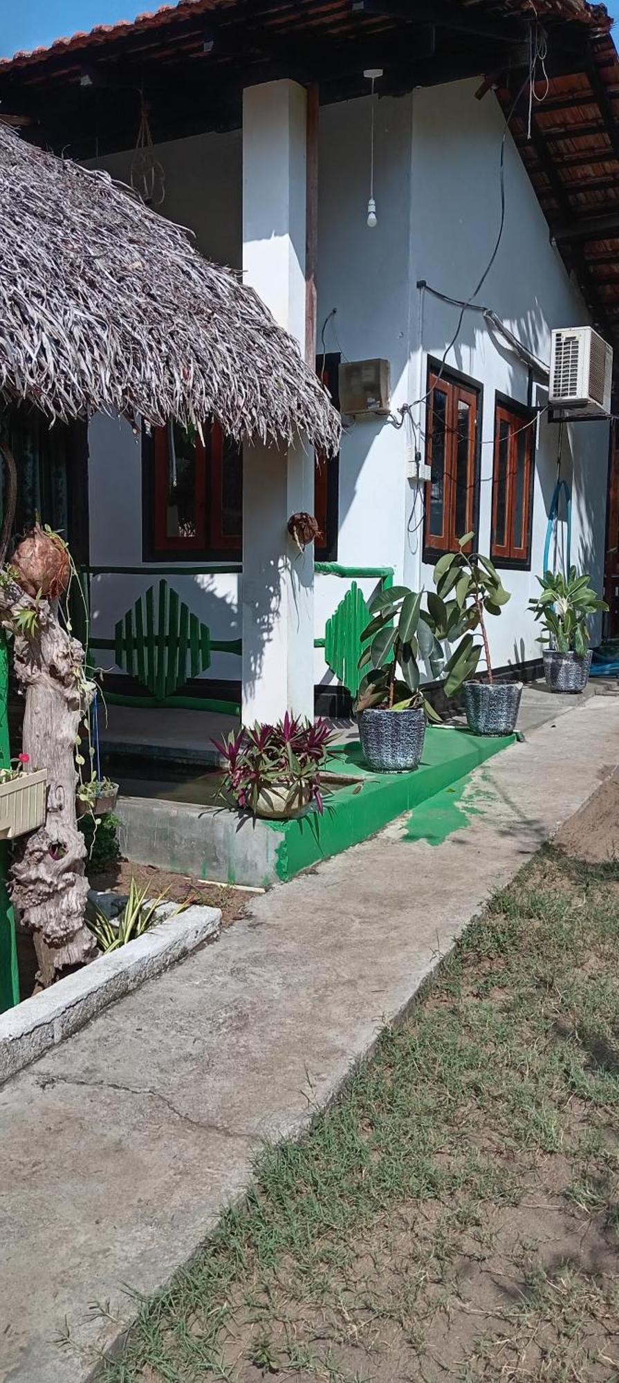Surfing Lion Hostel آروغام المظهر الخارجي الصورة