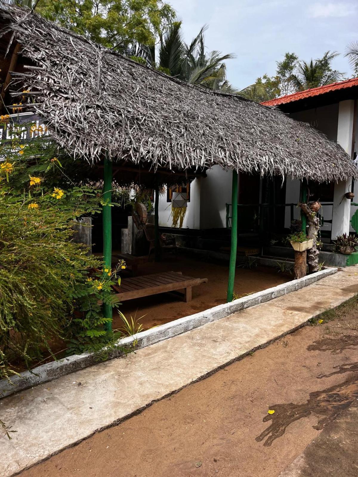 Surfing Lion Hostel آروغام المظهر الخارجي الصورة