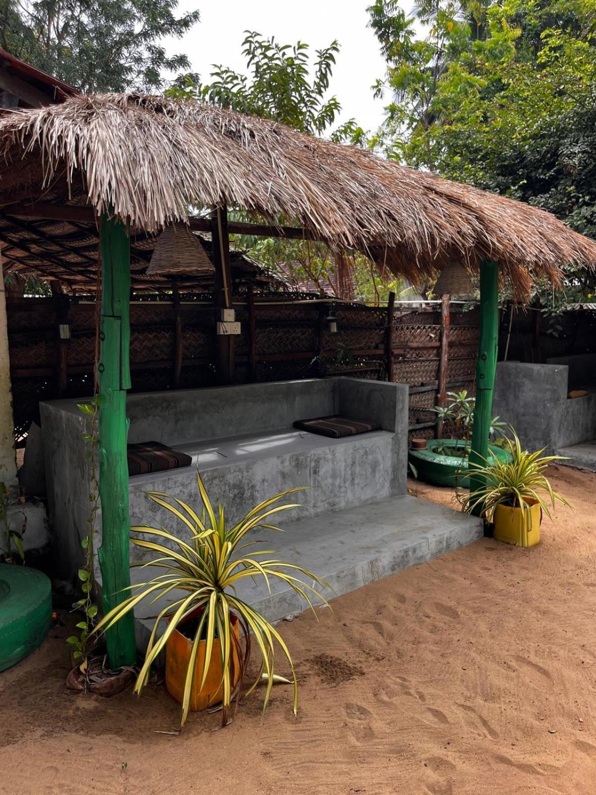 Surfing Lion Hostel آروغام المظهر الخارجي الصورة
