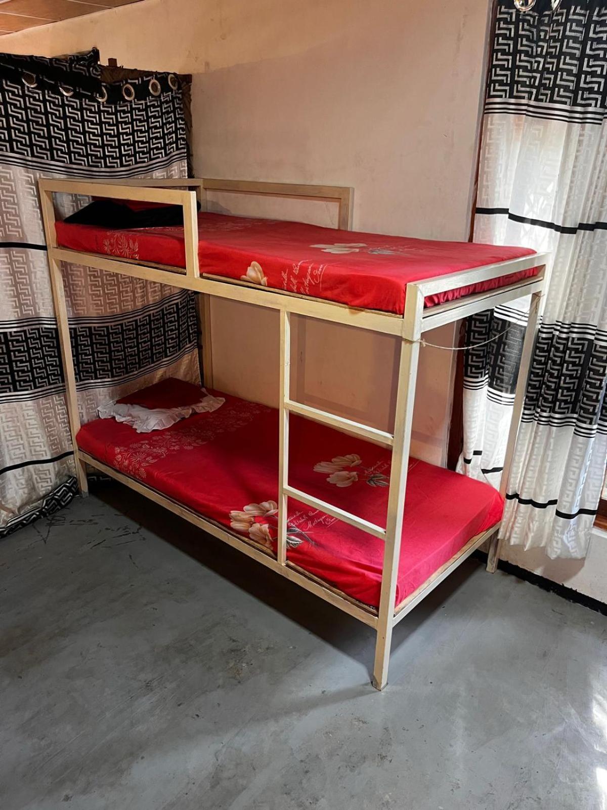 Surfing Lion Hostel آروغام المظهر الخارجي الصورة