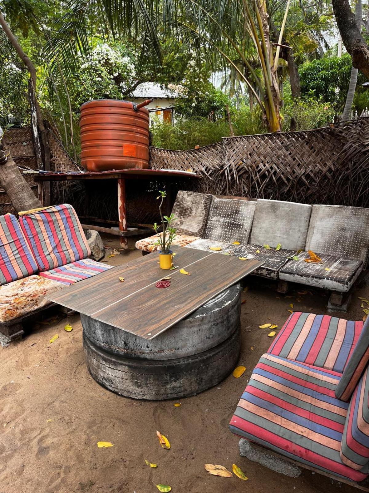 Surfing Lion Hostel آروغام المظهر الخارجي الصورة