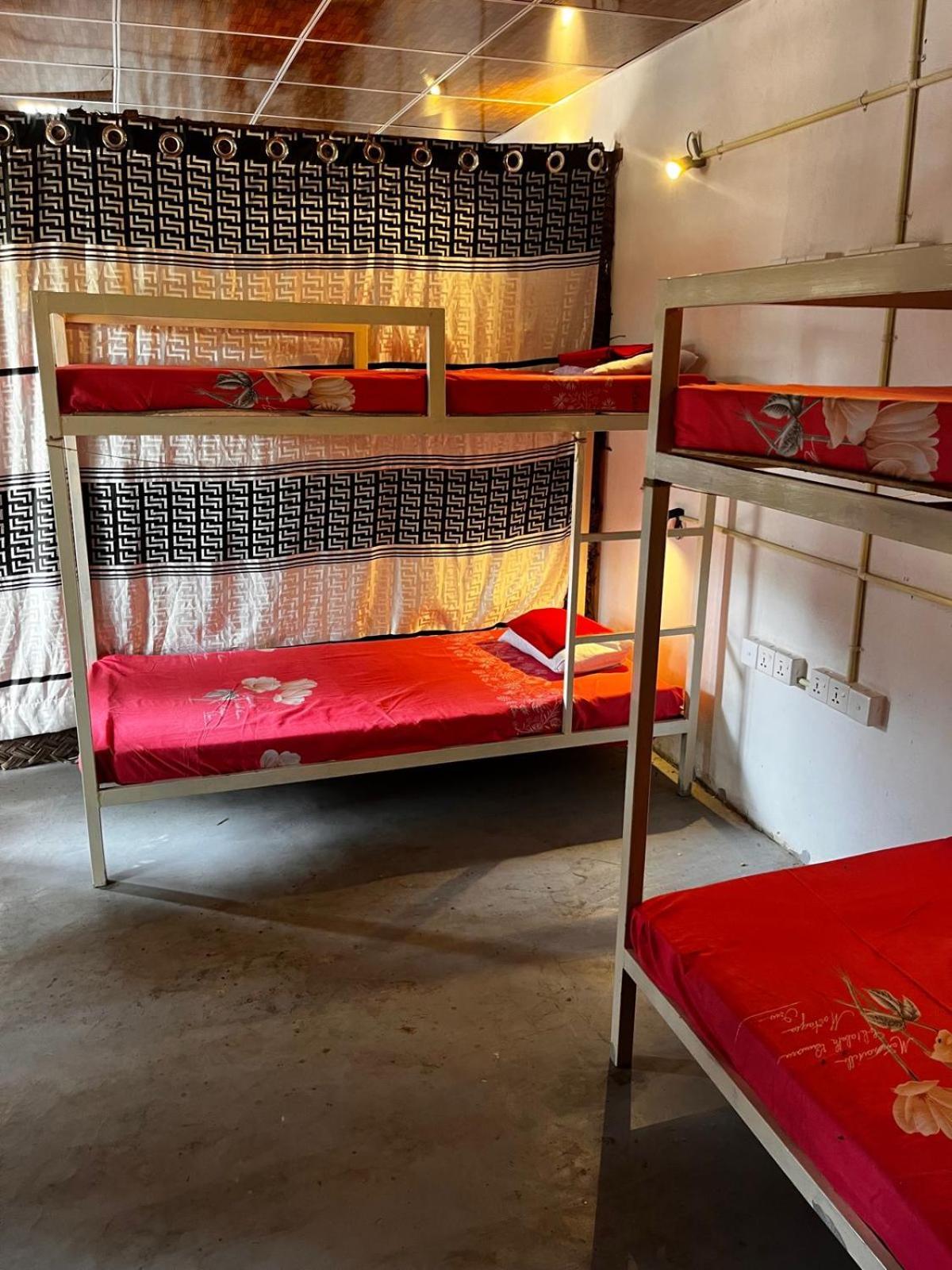 Surfing Lion Hostel آروغام المظهر الخارجي الصورة