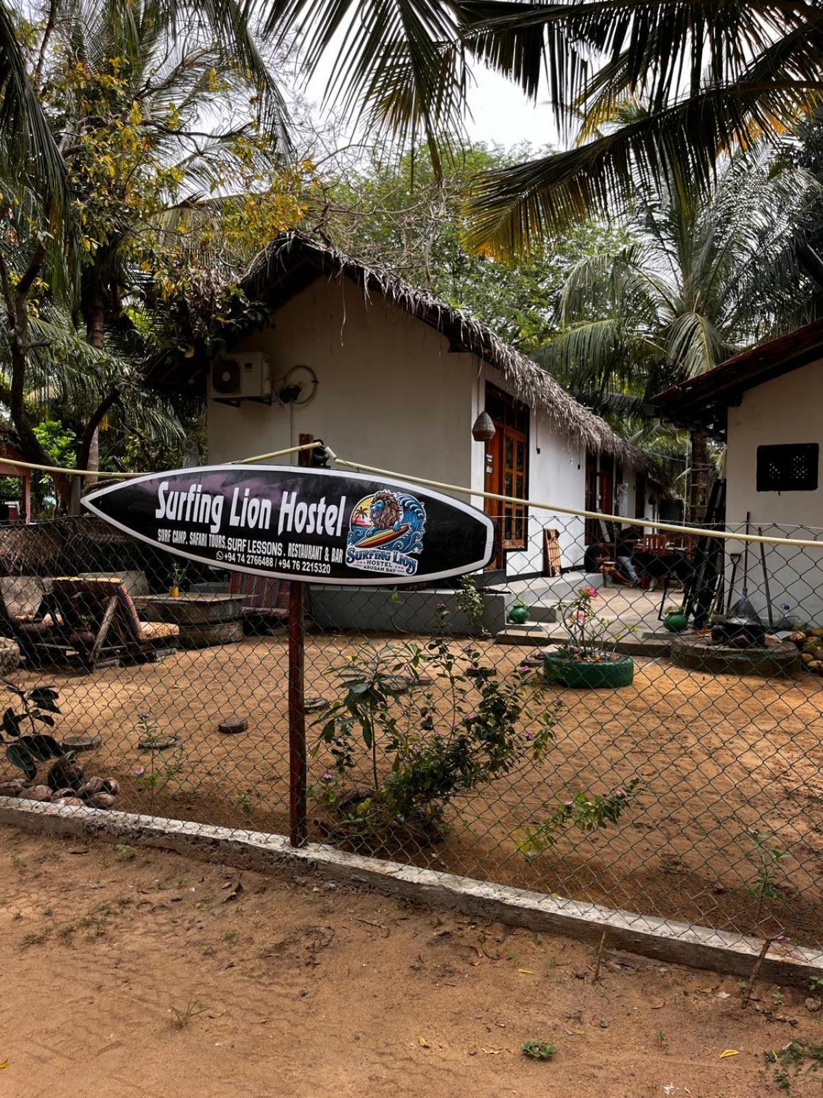 Surfing Lion Hostel آروغام المظهر الخارجي الصورة