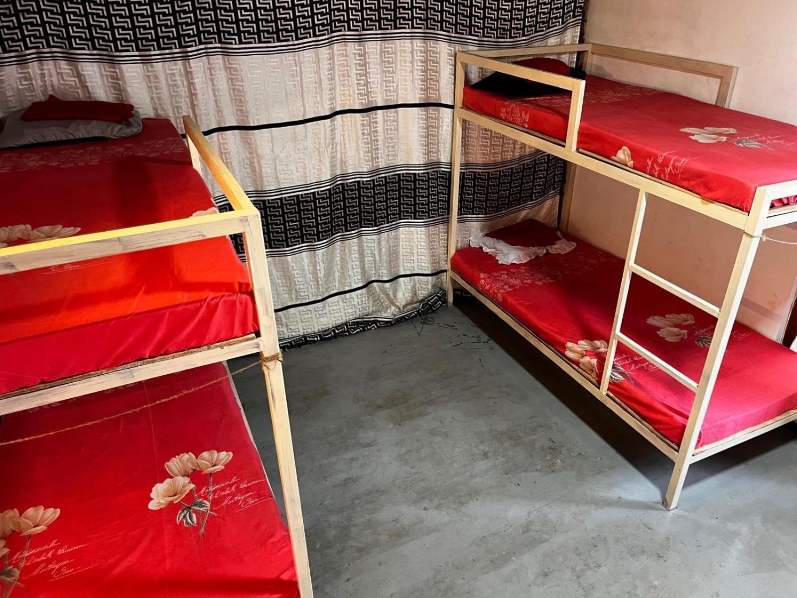 Surfing Lion Hostel آروغام المظهر الخارجي الصورة
