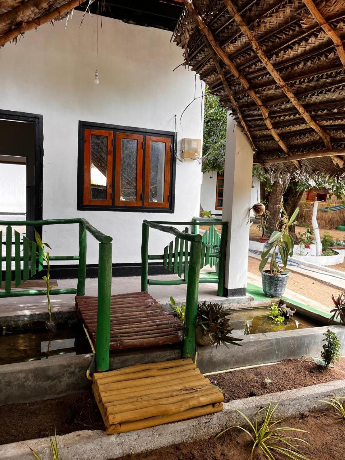 Surfing Lion Hostel آروغام المظهر الخارجي الصورة