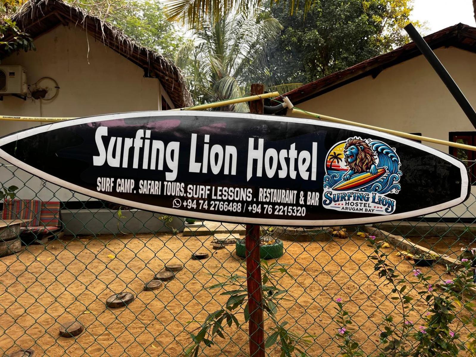 Surfing Lion Hostel آروغام المظهر الخارجي الصورة