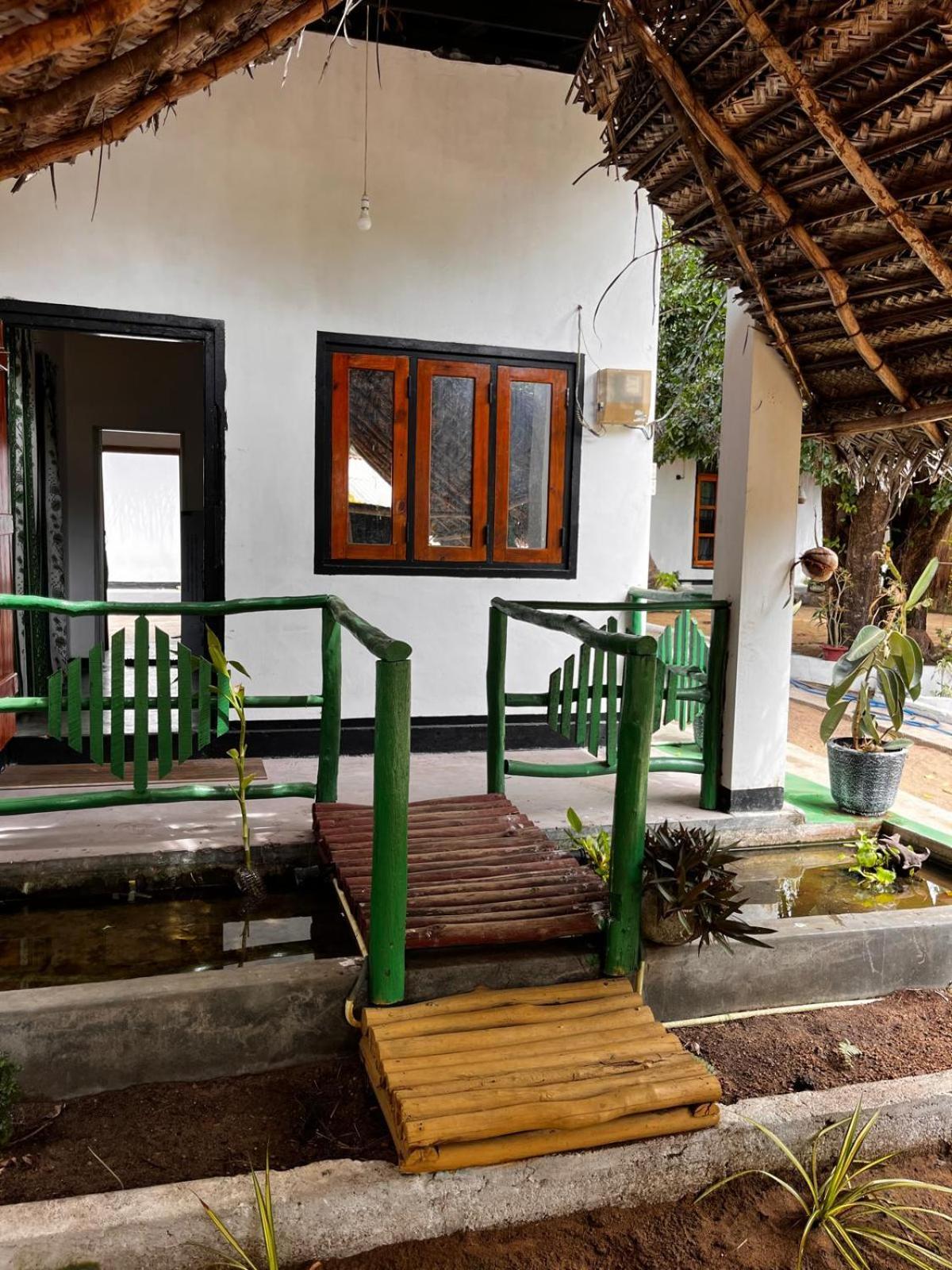 Surfing Lion Hostel آروغام المظهر الخارجي الصورة