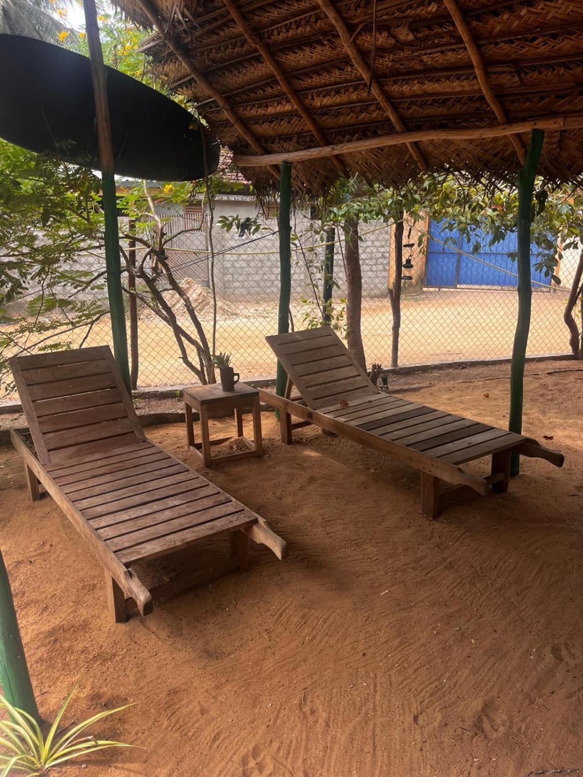 Surfing Lion Hostel آروغام المظهر الخارجي الصورة