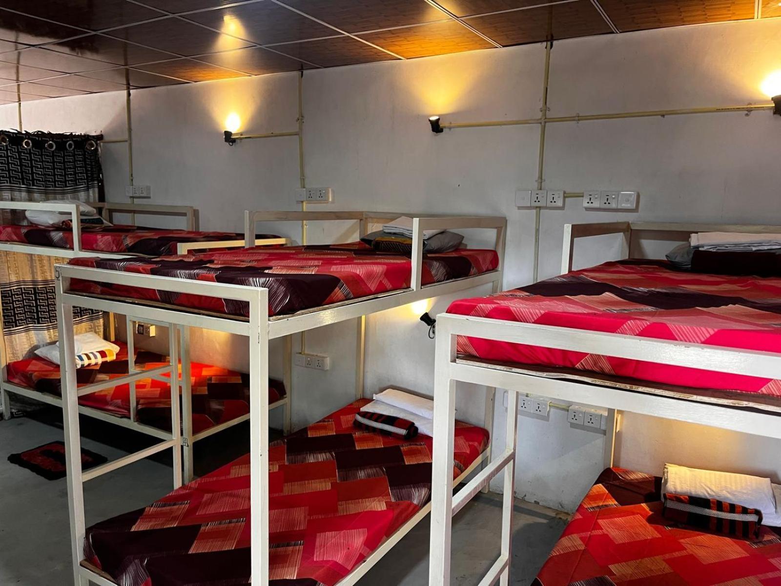 Surfing Lion Hostel آروغام المظهر الخارجي الصورة
