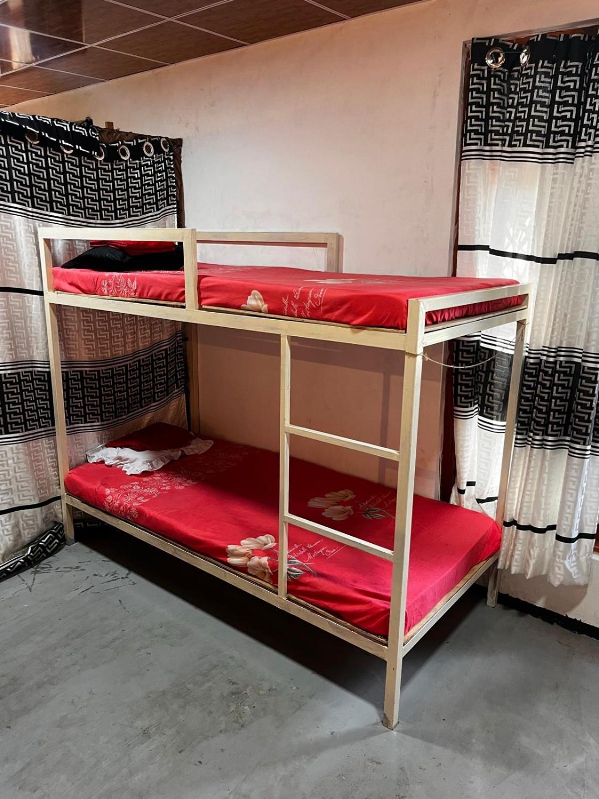 Surfing Lion Hostel آروغام المظهر الخارجي الصورة