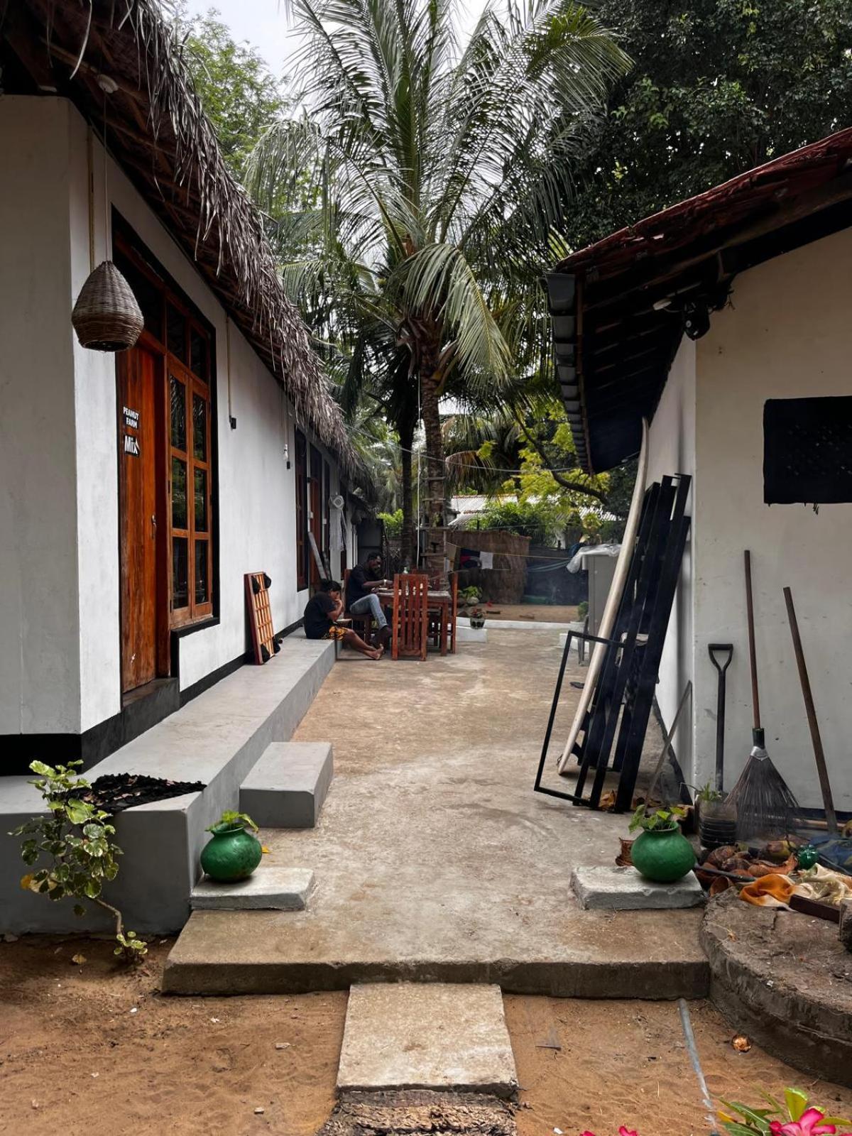 Surfing Lion Hostel آروغام المظهر الخارجي الصورة