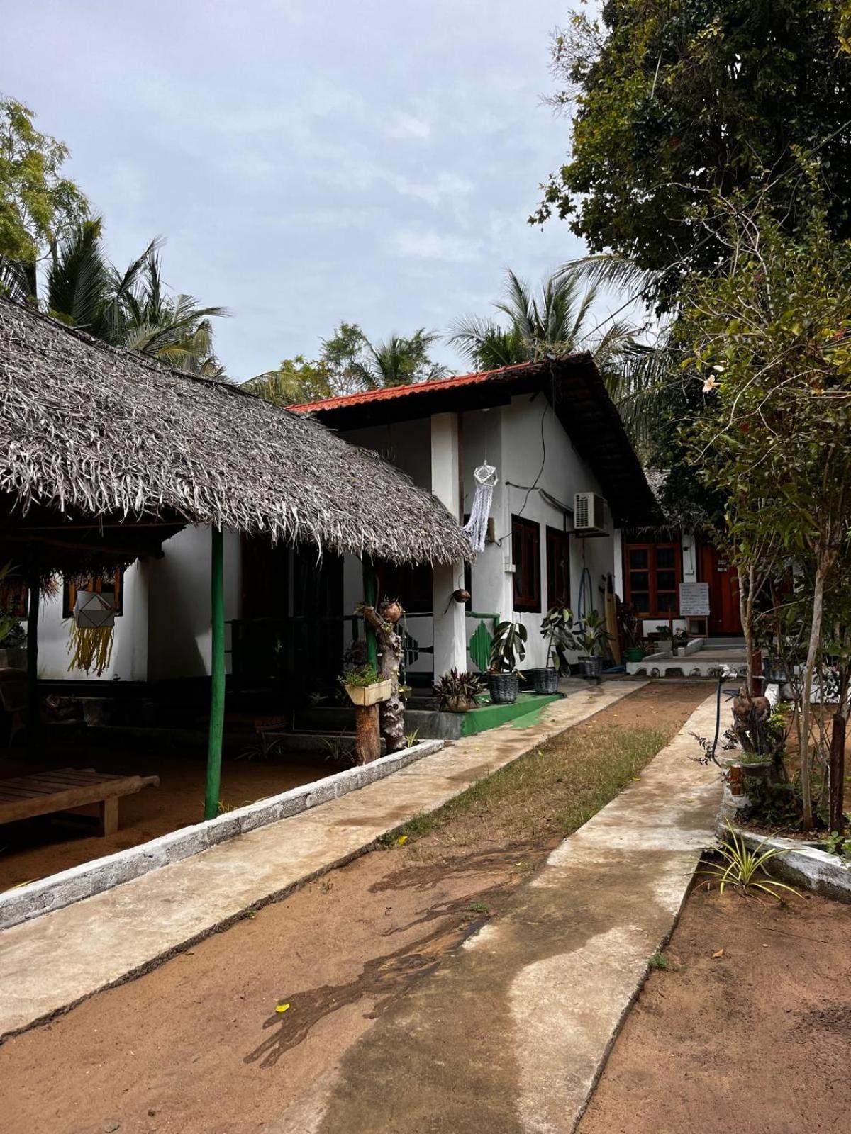 Surfing Lion Hostel آروغام المظهر الخارجي الصورة