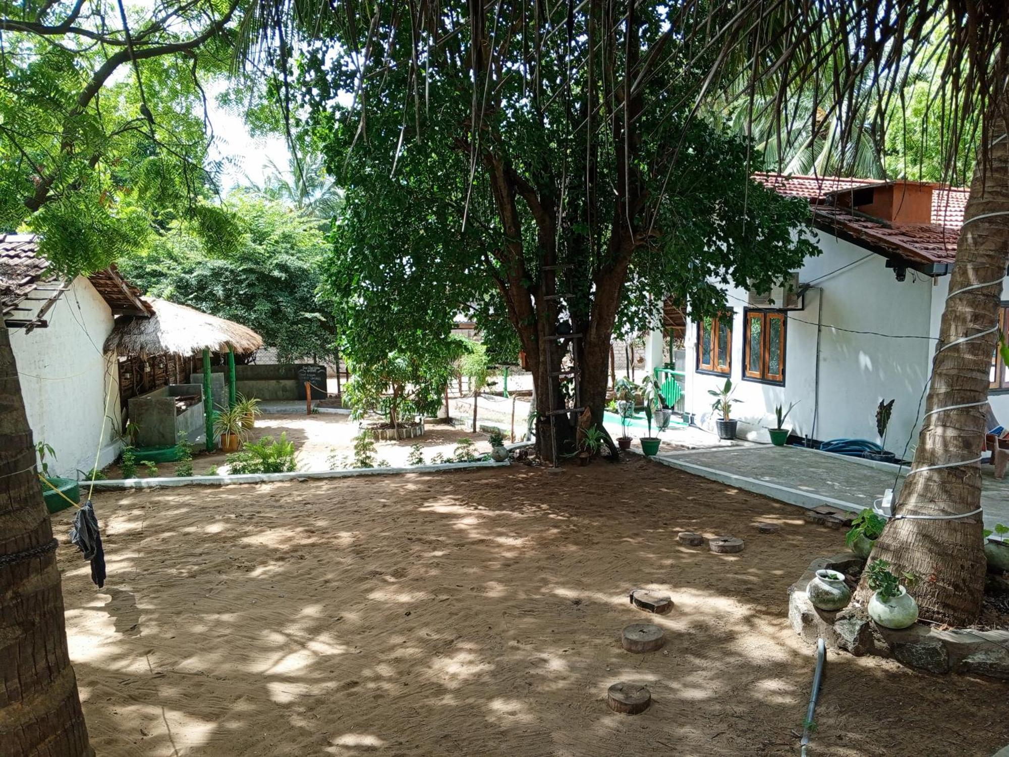 Surfing Lion Hostel آروغام المظهر الخارجي الصورة